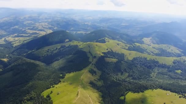 Luftaufnahme Bergwald Mit Lager — Stockvideo