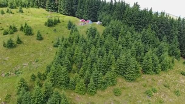 Bosque Montaña Plano Aéreo Con Campamento — Vídeos de Stock