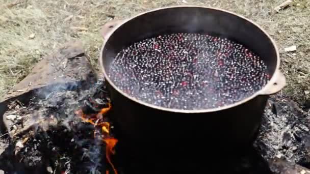 Gotowanie Zewnątrz Żelaznym Kociołkiem — Wideo stockowe