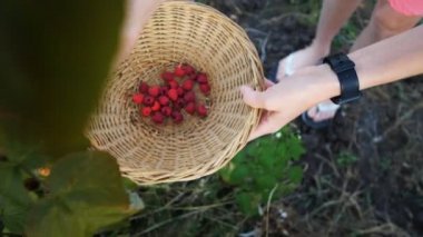 Kadın malzeme çekme olgun ahududu