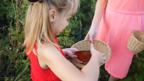 Повільний рух дівчина їсть стиглу червону соковиту малину в саду — стокове відео