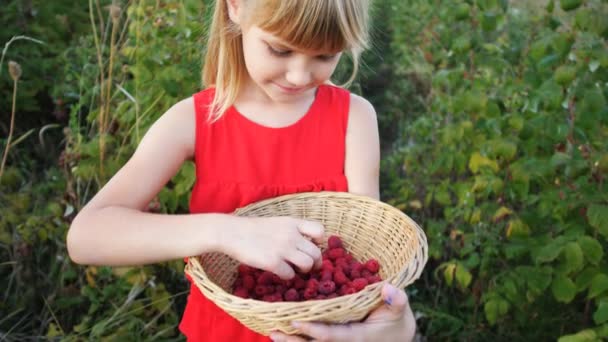Chica de cámara lenta come frambuesa jugosa roja madura en el jardín — Vídeo de stock