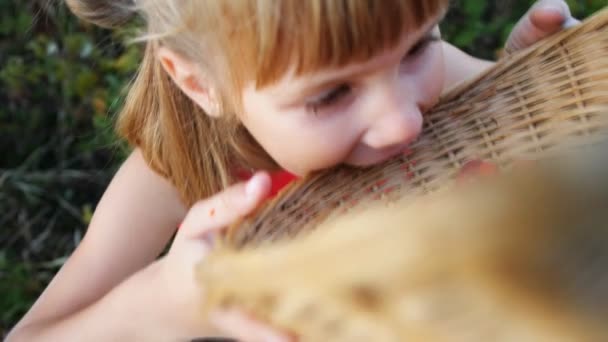 Медленное движение девушка ест спелые красные сочные малины в саду — стоковое видео