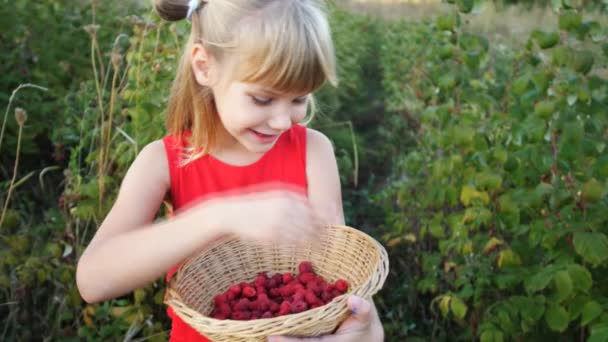 Menina de câmera lenta come framboesa suculenta vermelha madura no jardim — Vídeo de Stock