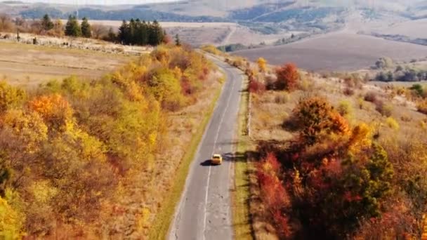 Dolly zoom vue aérienne de la voiture de route d'automne. Skyl vue route de campagne en automne. Forêt et route vue sur drone. Voiture route en forêt vue de dessus 