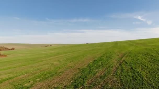 Zelené kolové pole v zemědělské krajině. Letecký pohled na kolové pole, moment západu slunce — Stock video