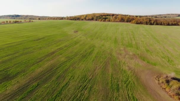 Зелене поле в сільськогосподарському ландшафті. Вид на повітряний дрон поля Веа, момент заходу сонця — стокове відео
