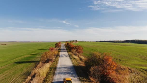 Aerial view of autumn road car. Skyl view country road in autumn. Field and highway road drone view. Car road in field top view — Stock Video