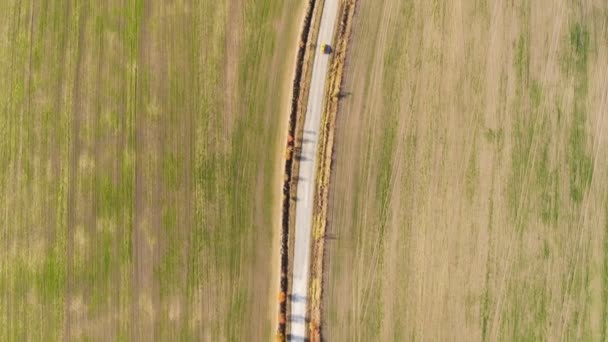 Aerial View Autumn Road Car Skyl View Country Road Autumn — Stock Video