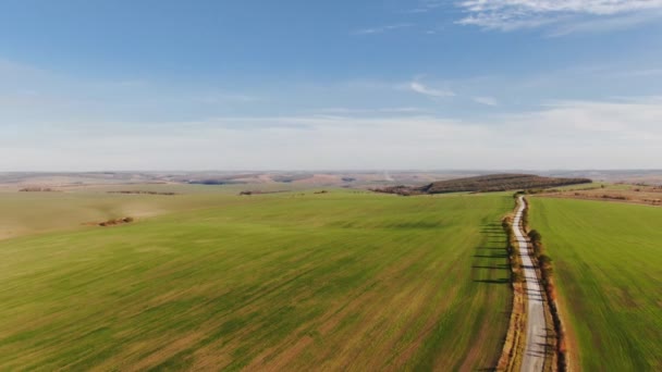 Champ de blé vert dans un paysage agricole. Drone vue aérienne du champ de blé, moment du coucher du soleil 