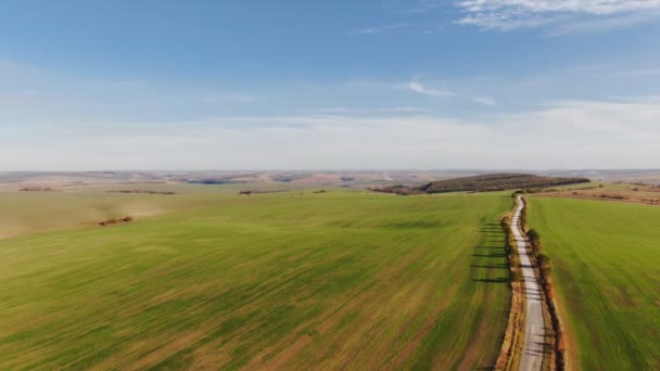 Зеленое Пшеничное Поле Сельскохозяйственном Ландшафте Вид Воздуха Пшеничное Поле Момент — стоковое видео
