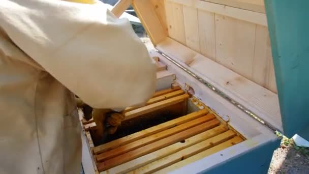 Μελισσοκόμος Κηρήθρα Γεμάτη Μέλισσες 60P — Αρχείο Βίντεο