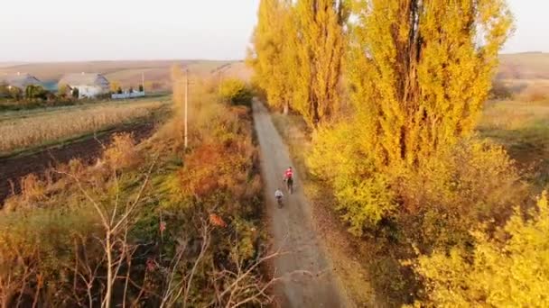 Papa et fille sur les vélos vue aérienne 