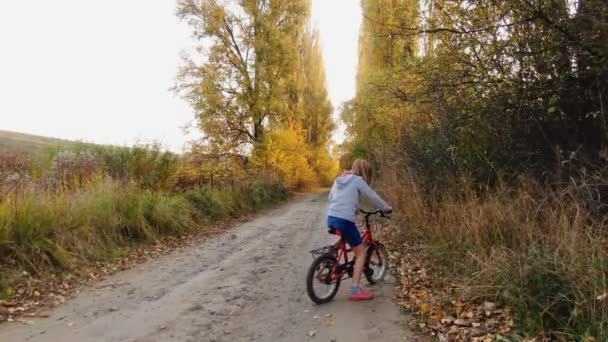 空中无人机观察女孩骑自行车在乡间路上 — 图库视频影像
