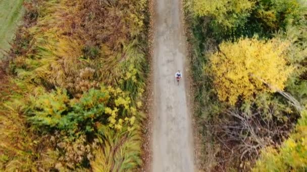 Avión Teledirigido Vista Chica Paseos Bicicleta Campo Carretera — Vídeo de stock