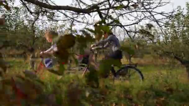 Niedliches Mädchen Mit Fahrt Ländlicher Landschaft 60P — Stockvideo