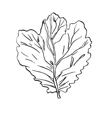 Dekoratif mürekkep illüstrasyon yeşil çizim ile çizgili bırakır