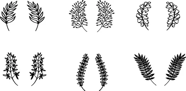 Vektor-Set von kleinen dekorativen Ohrpflanzen Zweig — Stockvektor
