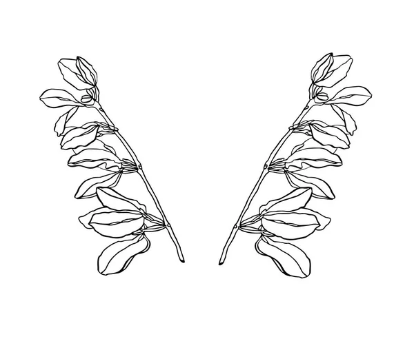 Vector dekorativ gren av gröna blad med randig — Stock vektor