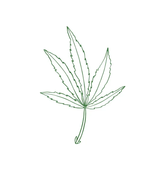 Decorative illustration green leave of big hemp — Stock Photo, Image
