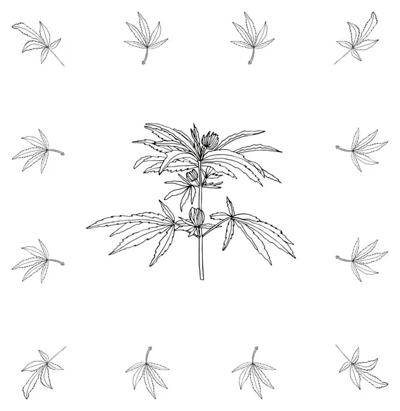 Cabang dekoratif dari rami dengan daun dalam bingkai persegi — Stok Foto