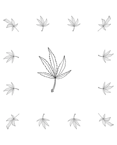 Kare kare yaprakları ile kenevir vektör dalı — Stok Vektör