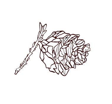 Noel ağacının dalında bir külon. Yeni yıl kartı illüstrasyon. Tatil tasarımı.