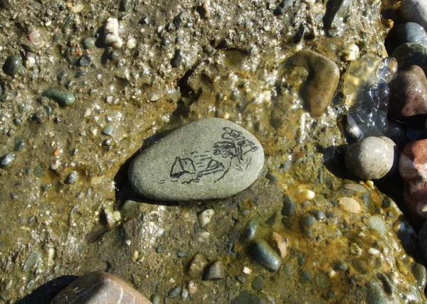 Hand drawn stone in the Black sea water