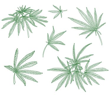 Büyük kenevir ve yaprakları yeşil şube dekoratif seti