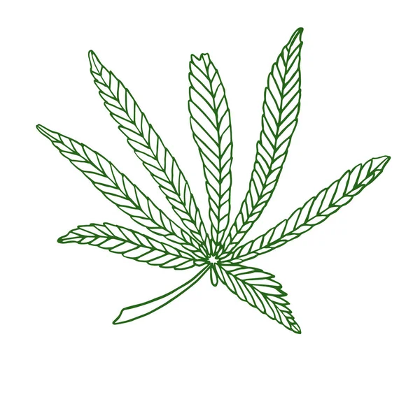 Decorative green illustration leave of big hemp — Stock Photo, Image