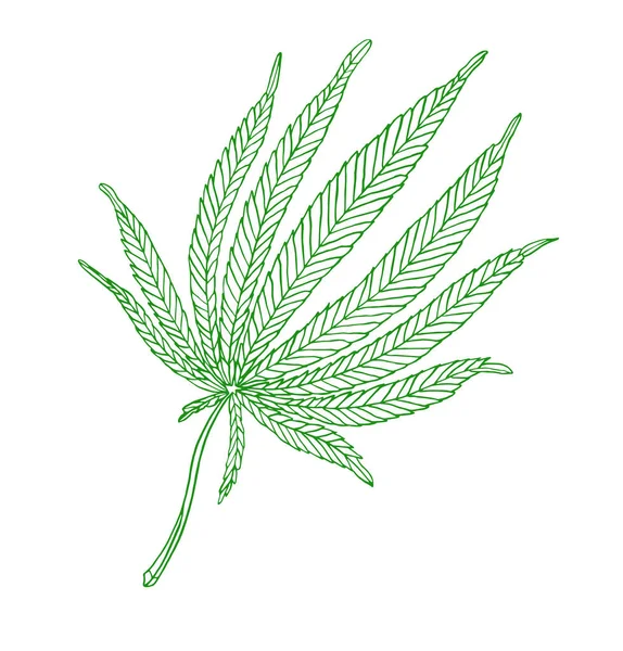 Decorative green illustration leave of big hemp