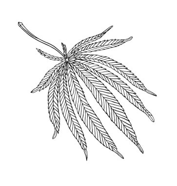 Vektör Dekoratif illüstrasyon büyük kenevir bırakın
