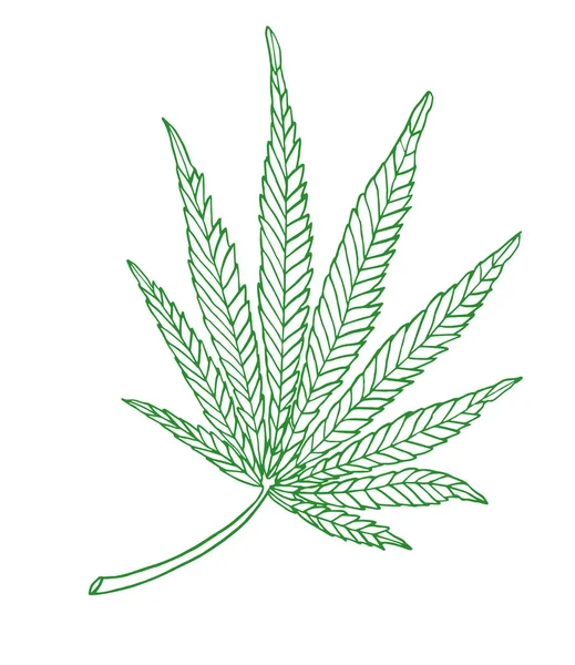 装饰绿色插图离开大大麻 — 图库照片