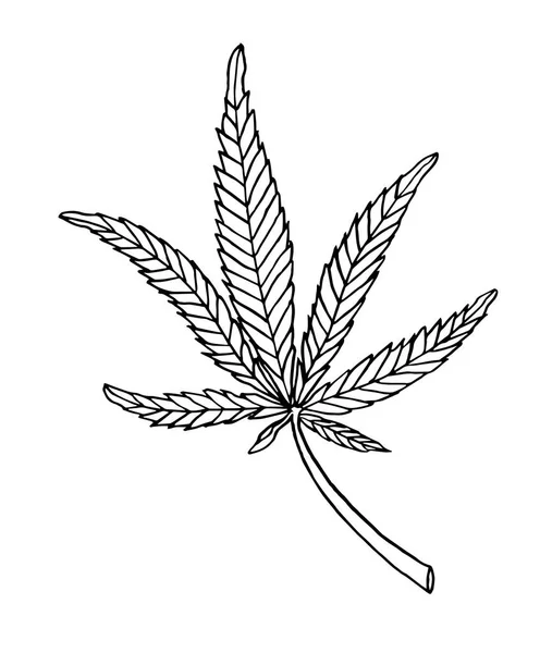 大大麻的矢量装饰插图离开 — 图库矢量图片