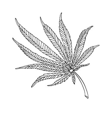 Vektör Dekoratif illüstrasyon büyük kenevir bırakın
