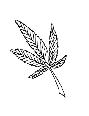 Vektör Dekoratif illüstrasyon büyük kenevir bırakın