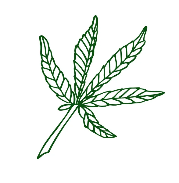 装饰绿色插图离开大大麻 — 图库照片