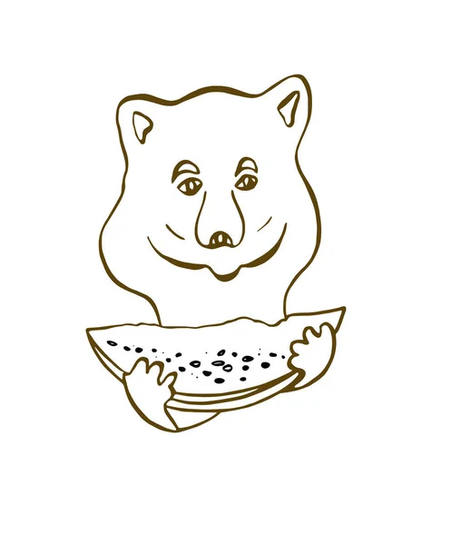 Pequeno urso segura uma fatia de melancia em suas mãos — Fotografia de Stock