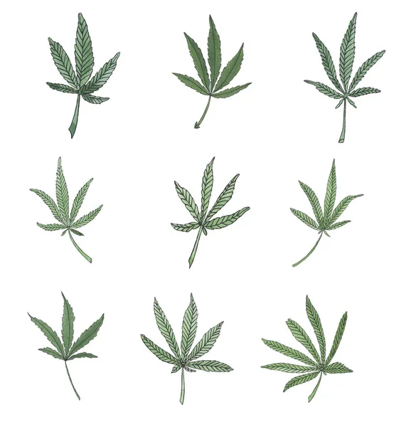 水彩集绿色分支的大麻和叶子 — 图库照片
