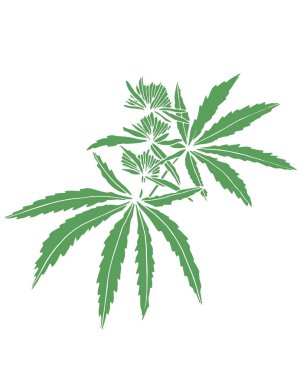 Yaprakları ile büyük kenevir Dekoratif yeşil trafaret dalı