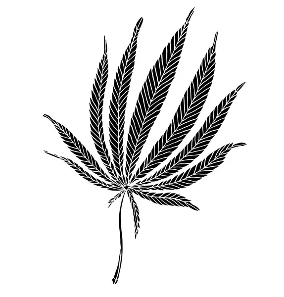 Decorative black trafaret leave of big hemp — Stock Photo, Image