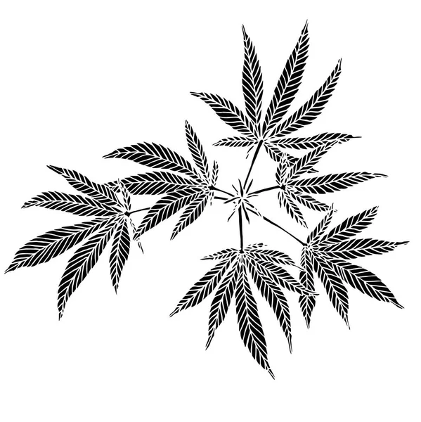 Декоративна чорна гілка трафарету великої коноплі з листям — стокове фото