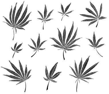 Büyük kenevir yaprakları Dekoratif siyah trafaret seti