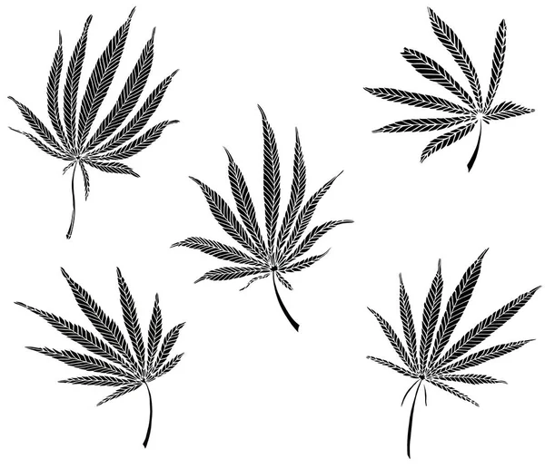 Dekoracyjny czarny trafaret zestaw dużych liści konopi — Zdjęcie stockowe