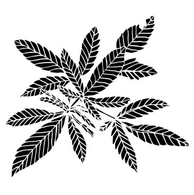 Yaprakları ile büyük kenevir Dekoratif siyah trafaret dalı