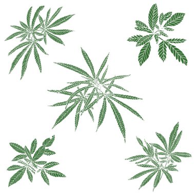 Dekoratif yeşil trafaret seti büyük kenevir dalı