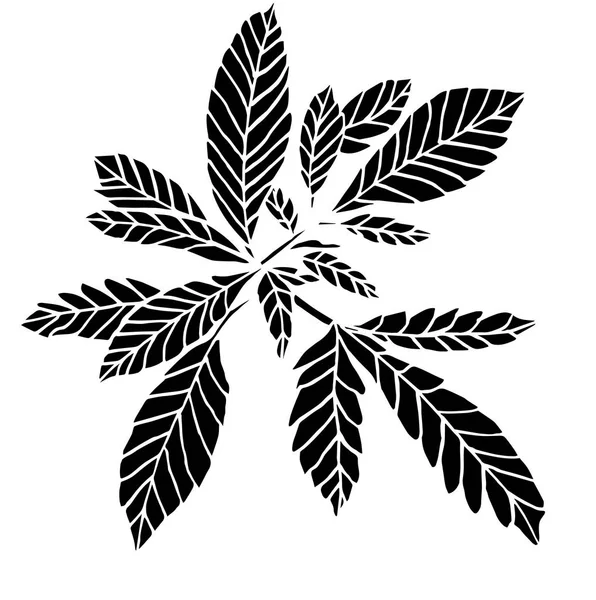 Dekoracyjny czarny trafaret oddział wielkiego konopi z liści — Zdjęcie stockowe