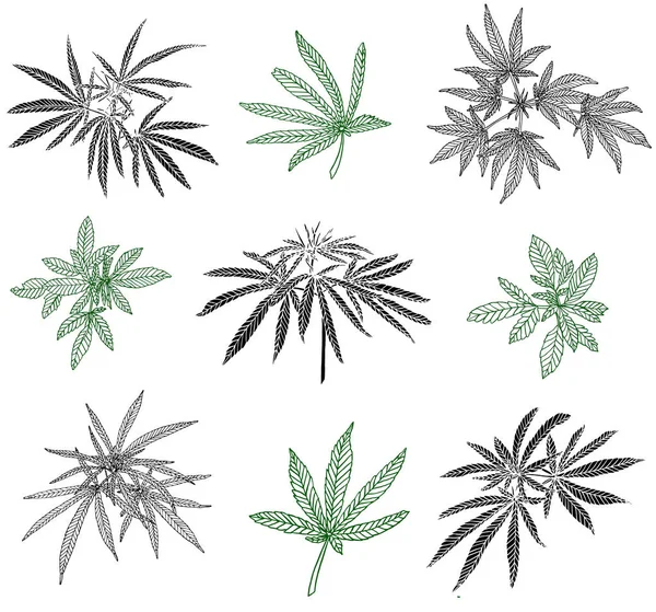 Decorative trafaret set branch of big hemp and leaves — Stock Photo, Image