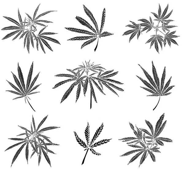 Dekorative schwarze Trafaret Set Zweig von großen Hanf und Blätter — Stockfoto