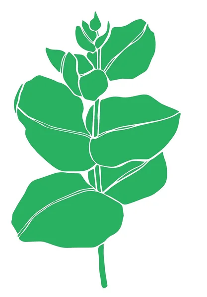 Zielony eukaliptus opuszcza gałąź. Floristyczne elementy konstrukcyjne dla florystyki. Ręcznie rysowana ilustracja. Karta okolicznościowa. — Zdjęcie stockowe